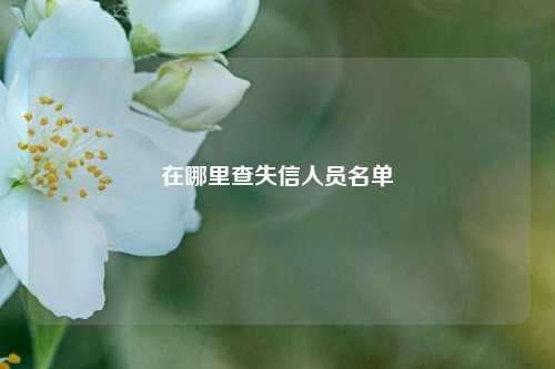 在哪里查失信人员名单